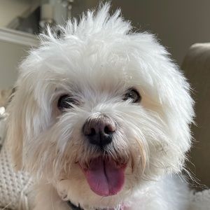 Meet your Posher, Cindy